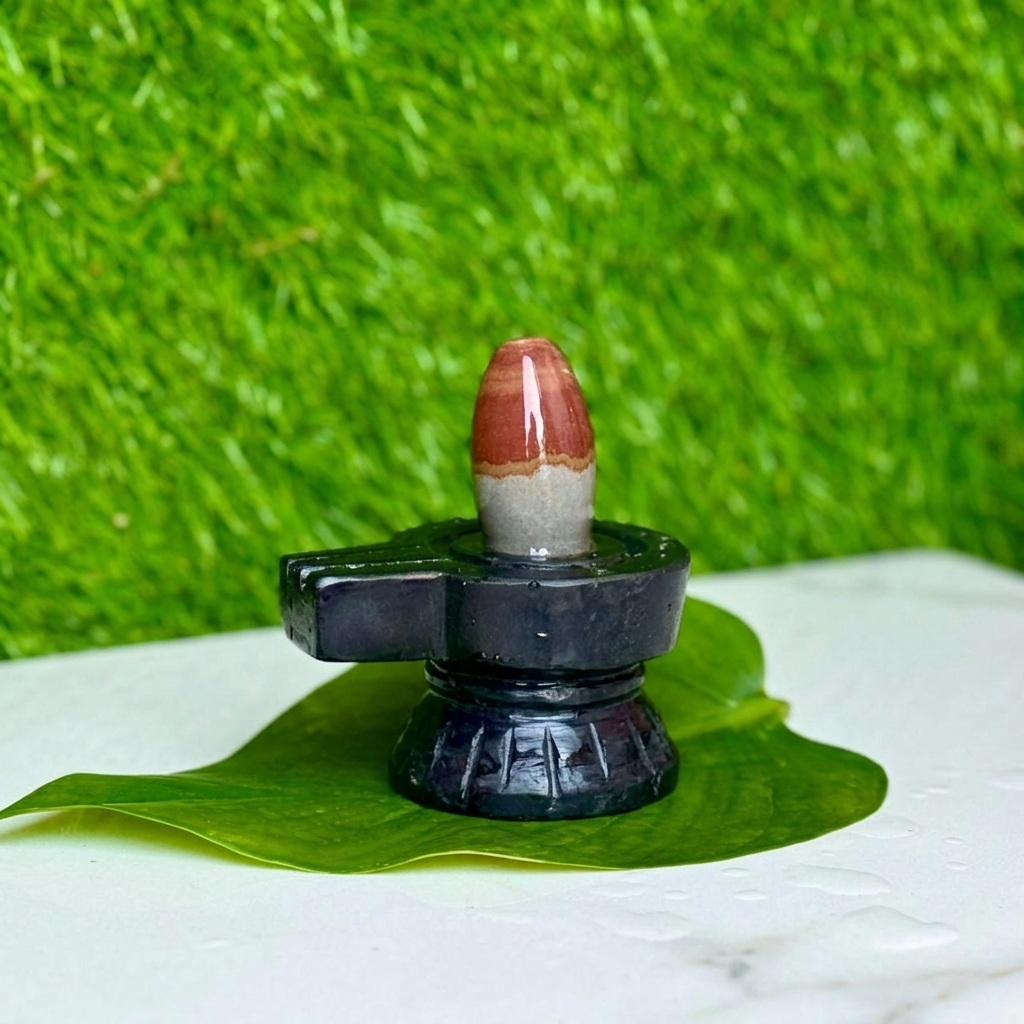 Original Two-Tone Narmadeshwar Shivling with Designer Black Jaladhari (2 Inch)