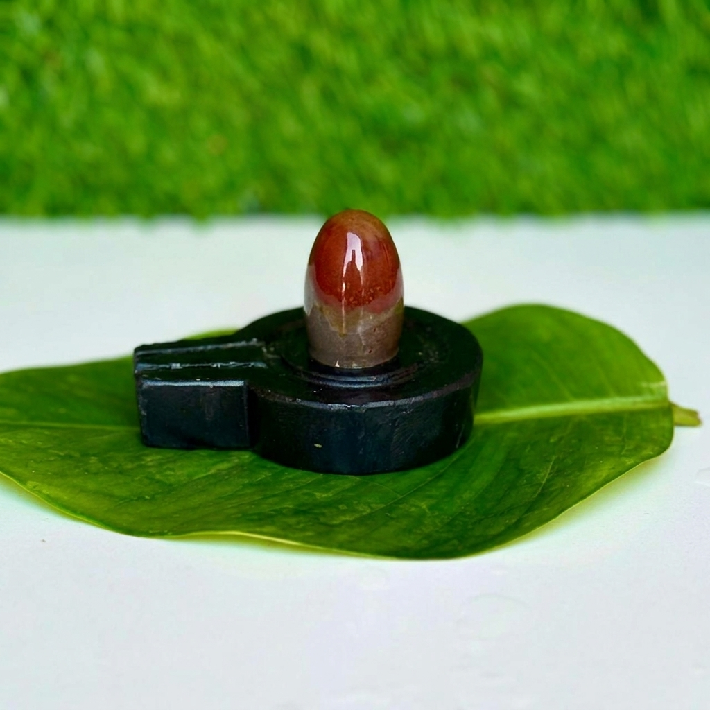 Premium Red Narmadeshwar Shivling with Black Jaladhari (2 Inch)
