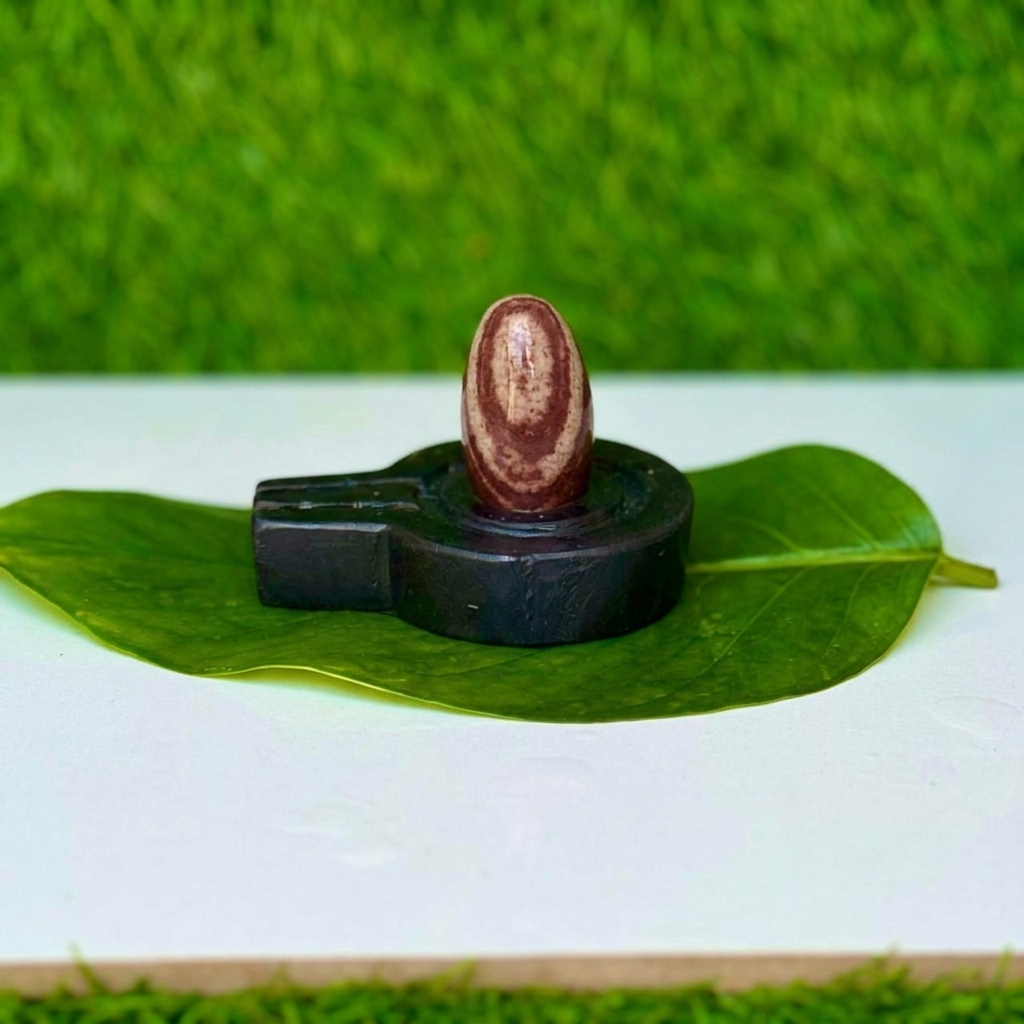 Original Narmadeshwar Shivling with Black Jaladhari (2 Inch)