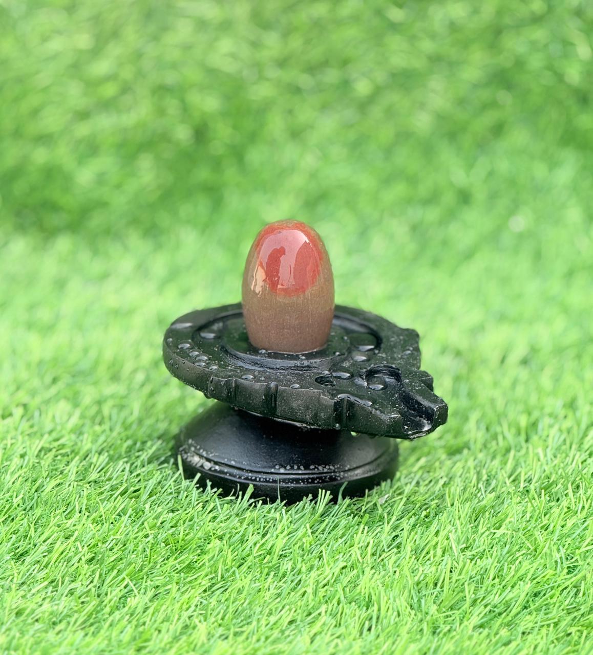 Premium Red Narmadeshwar Shivling with Designer Black Jaladhari (2 Inch)